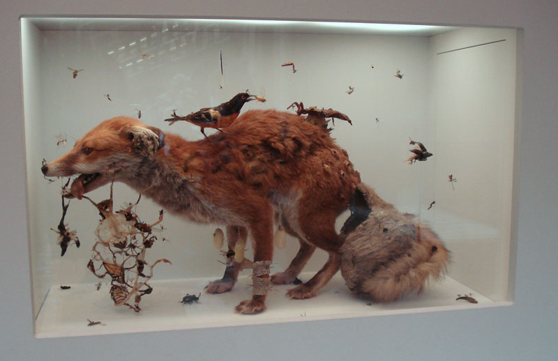 Tessa Farmer Little Savages Natural History Museum