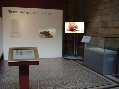 Tessa Farmer Little Savages Natural History Museum