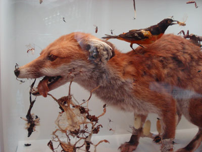Tessa Farmer Little Savages Natural History Museum