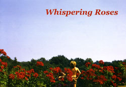 Whispering Roses